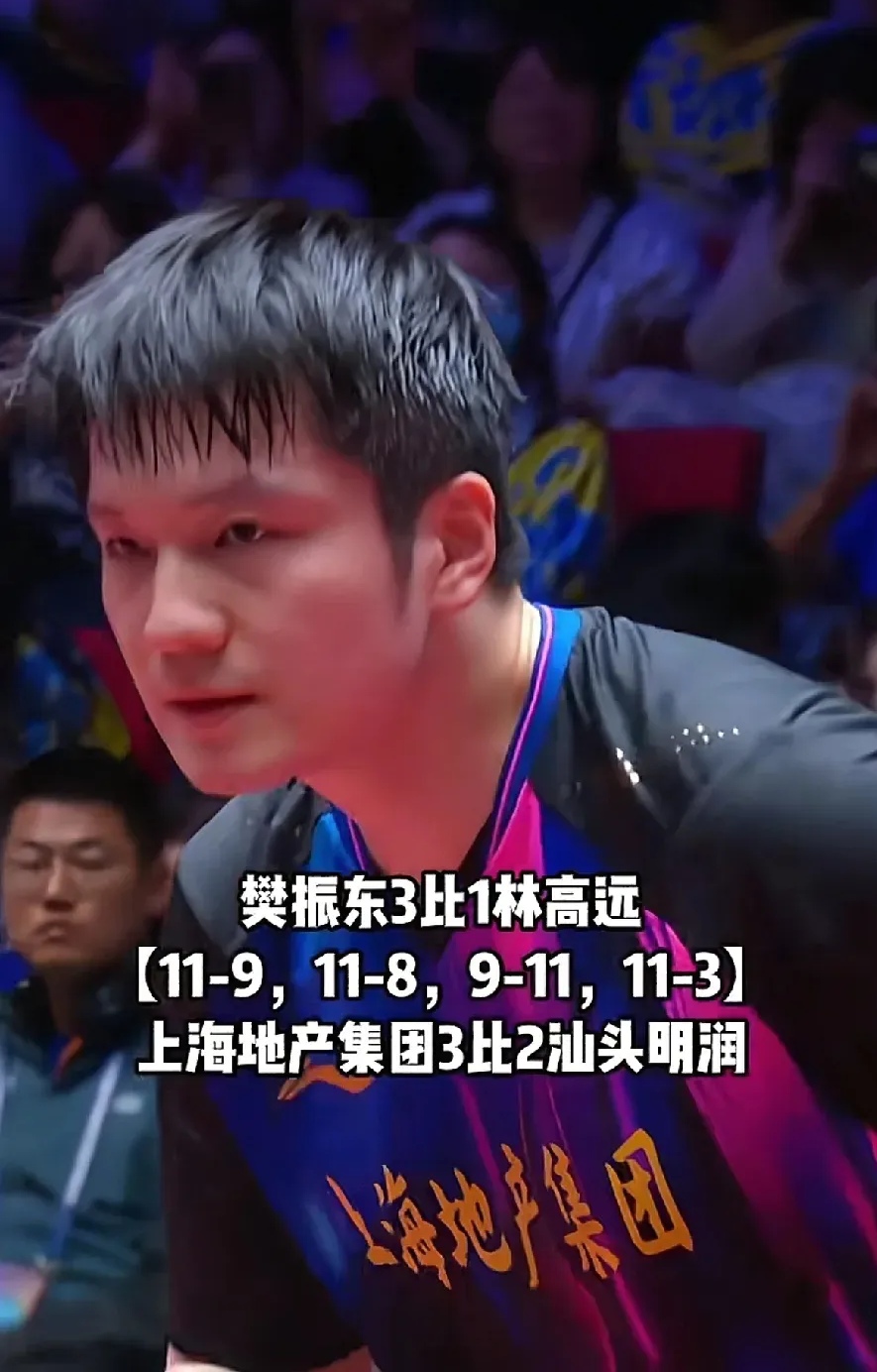 英格兰队逆转韩国队，樊振东状态火热