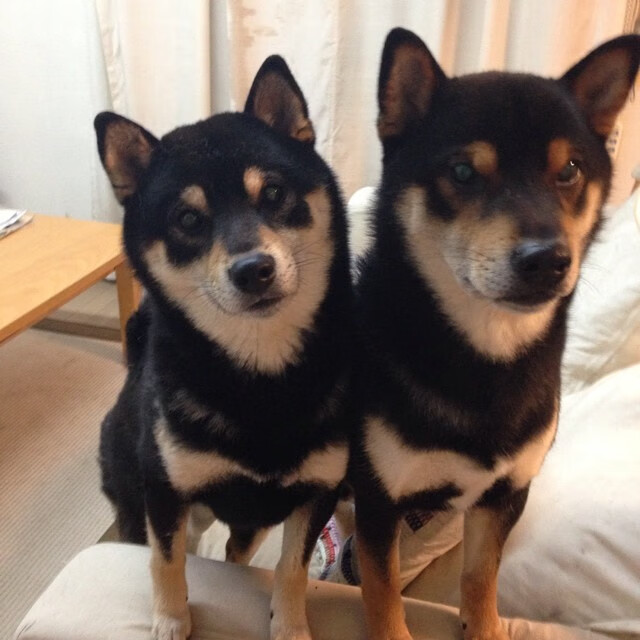 新王当立！哈兰德双响导演速胜，姆巴佩统治世纪之战