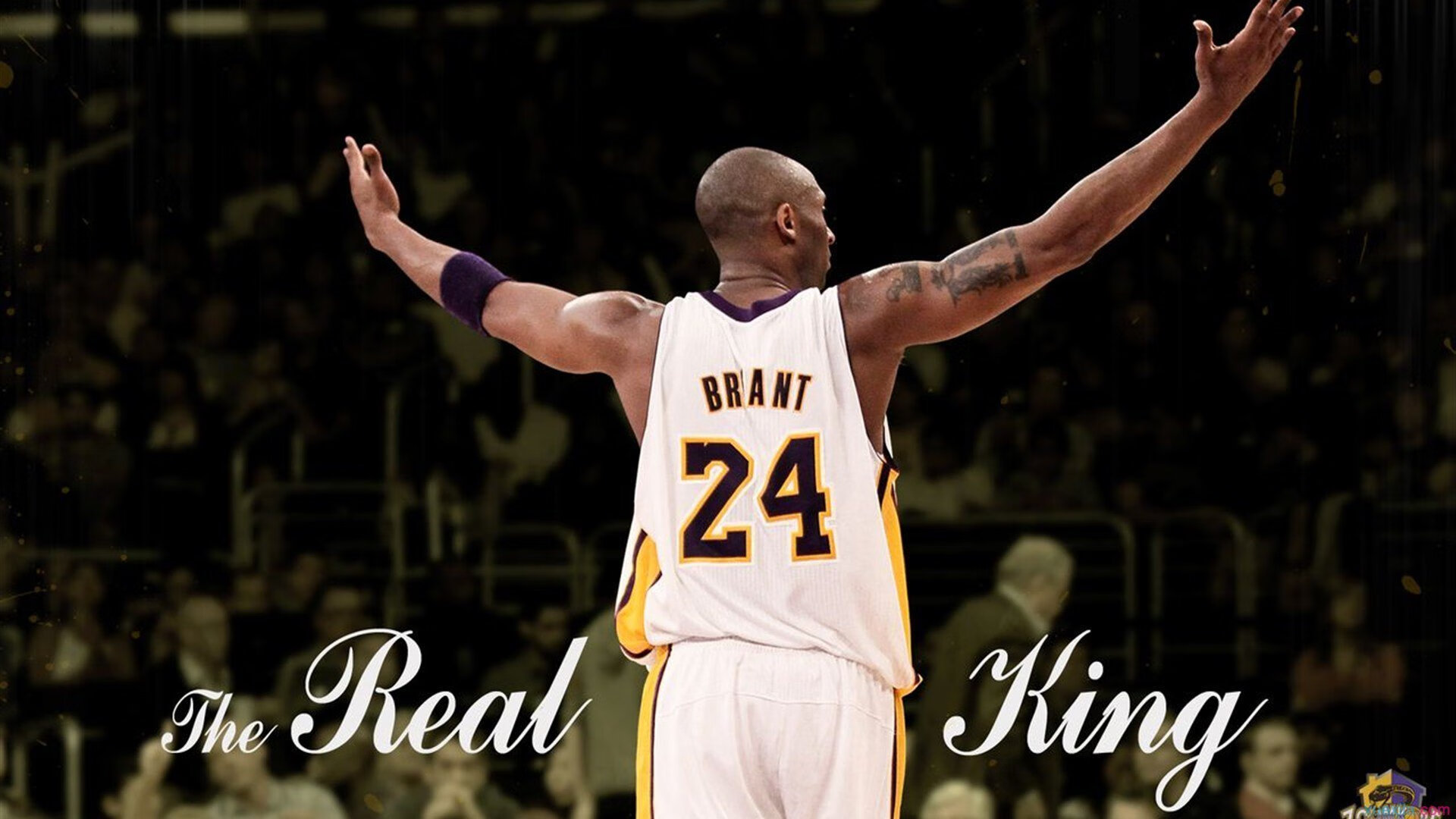 西亚卡姆高光背后是低语，森林狼险胜中暴露的甜蜜隐忧