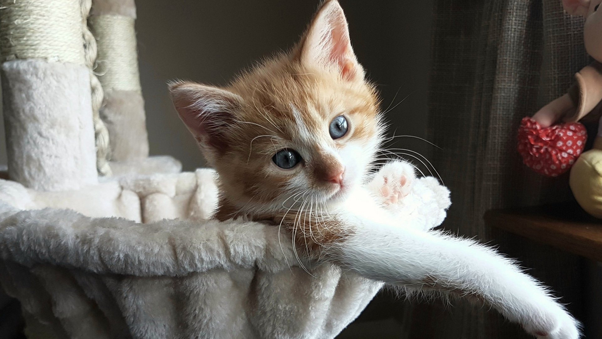 双重战场，绿茵荣耀与钢铁洪流—论欧冠决赛的战术角力与雄鹿队的统治美学