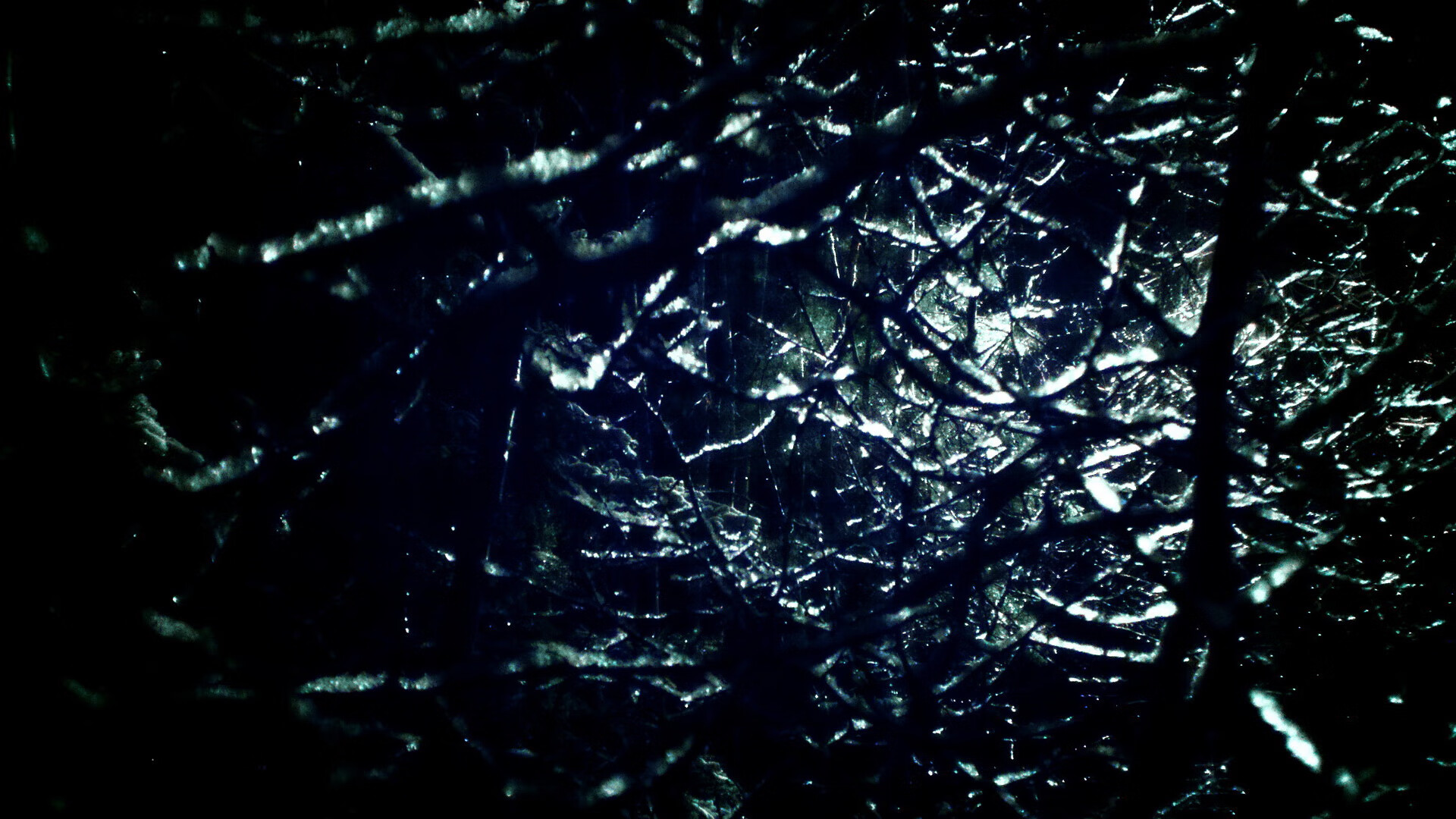 唯一性的双重奏,日本狂胜美国与莱奥的季后赛传奇