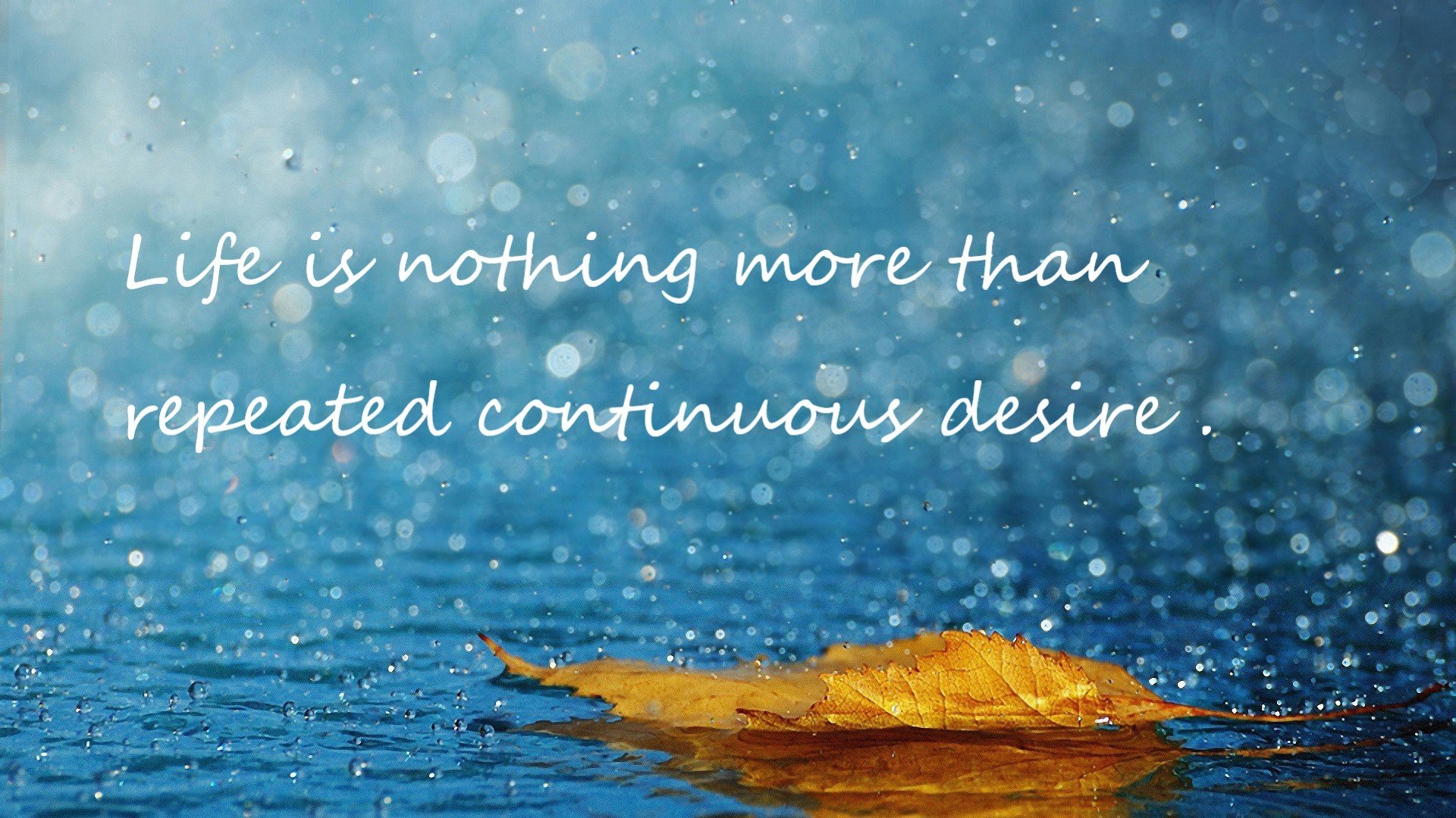 黑曜石的呐喊，霍勒迪—那个亲手扼杀悬念的冷面刺客